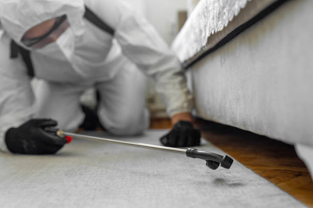 Professional Cockroach Control technician working in Hope, AR
